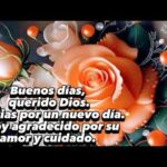 10 imágenes con frases que te llenarán de caricias al corazón