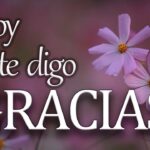 10 imágenes de agradecimiento a un amigo que te emocionarán