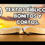 10 imágenes de textos bíblicos bonitos para inspirarte hoy