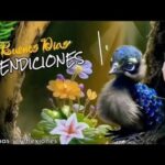 10 imágenes para alegrar tus mañanas con buenos días corazón