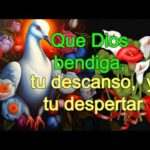 10 imágenes para desear buenas noches y alegrar tus sueños