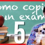 10 trucos para copiar en un examen sin ser pillado