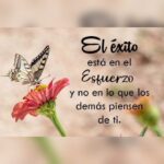 20 imágenes bonitas de reflexión para inspirarte y reflexionar