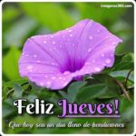 365 imágenes de buenos días para alegrar tu mañana