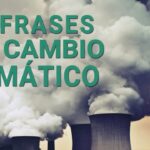 5 acciones clave para combatir el cambio climático ahora mismo