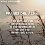 5 frases inspiradoras que tocarán tu alma y te motivarán