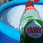 5 métodos efectivos para eliminar avispas de la piscina