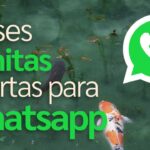 50 frases con imagen para WhatsApp que te inspirarán hoy
