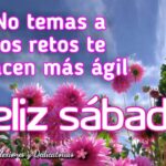 7 actividades divertidas para disfrutar de un feliz sábado