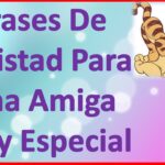 7 frases bonitas para fortalecer la amistad y alegrar el día