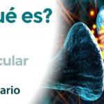 Actividad física para tono muscular en niños de 0 a 6 años