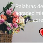 Agradecimiento eterno: Carta a mis padres por todo lo que han hecho por mí
