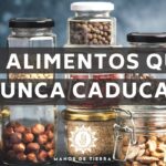 Almacenar alimentos crudos y cocinados juntos ¿Es seguro?