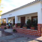 Alquila un chalet en Villamarchante: ¡Descubre las ofertas de particulares!