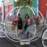Alquila una carroza al estilo de Cenicienta para una ocasión especial