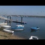 Autobuses desde Huelva al Portil, ¡descubre las opciones disponibles!