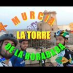 Autobuses desde Torre de la Horadada hasta Murcia: horarios y precios