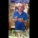Barriles para conservar sardinas y arenques ¿Cuál elegir?