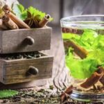 Bebidas calientes para combatir el frío del invierno