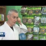 Beneficios de las hojas de olivo para la salud y cómo utilizarlas