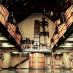 Bodega de Mora Osborne: tradición y calidad en cada botella