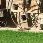 Bodegas de Pobladura del Valle: sabores únicos de la tierra