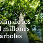 Bosque de hayas en Moncayo características y curiosidades