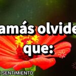 Buenos días que atraviesan la distancia