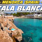 Cala Blanca: Descubre la belleza natural de las Islas Baleares