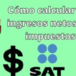 Calcula tus ingresos netos estudiantiles anuales en 3 pasos