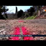 Casa Rural Can Ribas: Disfruta de la tranquilidad de Bigues i Riells
