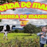 Casa rural en la Sierra de Madrid para una escapada íntima de 2 personas