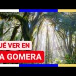 Casas rurales pet-friendly en La Gomera Encuentra la tuya ahora!