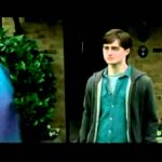 ¡Celebra tu despedida de soltera al estilo Harry Potter!