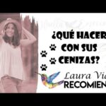Cenizas de perro ¿Qué color tienen y cómo manejarlas?