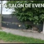 Chalet en Córdoba con amplio salón para tus celebraciones