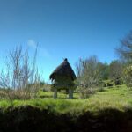 Cómo llegar al monasterio de Santo Estevo