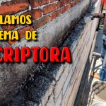 Cómo solucionar filtración de agua en pared del vecino en casa
