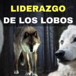 Conducción de animales manada vs rebaño Aprende las diferencias ahora