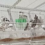 Conoce a Juan Francisco Burgos, el fundador de Tienda del Canario Com