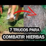 Consejos para atar saquitos de pasta filo de forma fácil y rápida