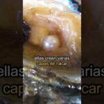Consejos para montar un interior de manera discreta y efectiva