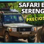 Costo de un safari en Tanzania: precios y opciones disponibles