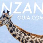Costo de viaje a Tanzania: ¿Cuánto necesitas para explorar la naturaleza salvaje?