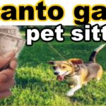 Costo diario del cuidado de un perro en España