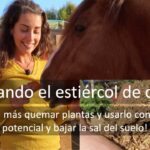 Cuándo aplicar estiércol en el huerto guía práctica y consejos