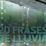 Cuando la lluvia cae, el amor florece: citas inspiradoras sobre el romance bajo la lluvia