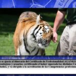 Cuidados de animales en zoológicos y acuarios Guía básica y práctica