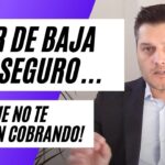 Dar de baja seguro coche Mutua Madrileña Guía fácil y rápida