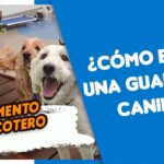 Dejando a mi mejor amigo peludo en la guardería canina